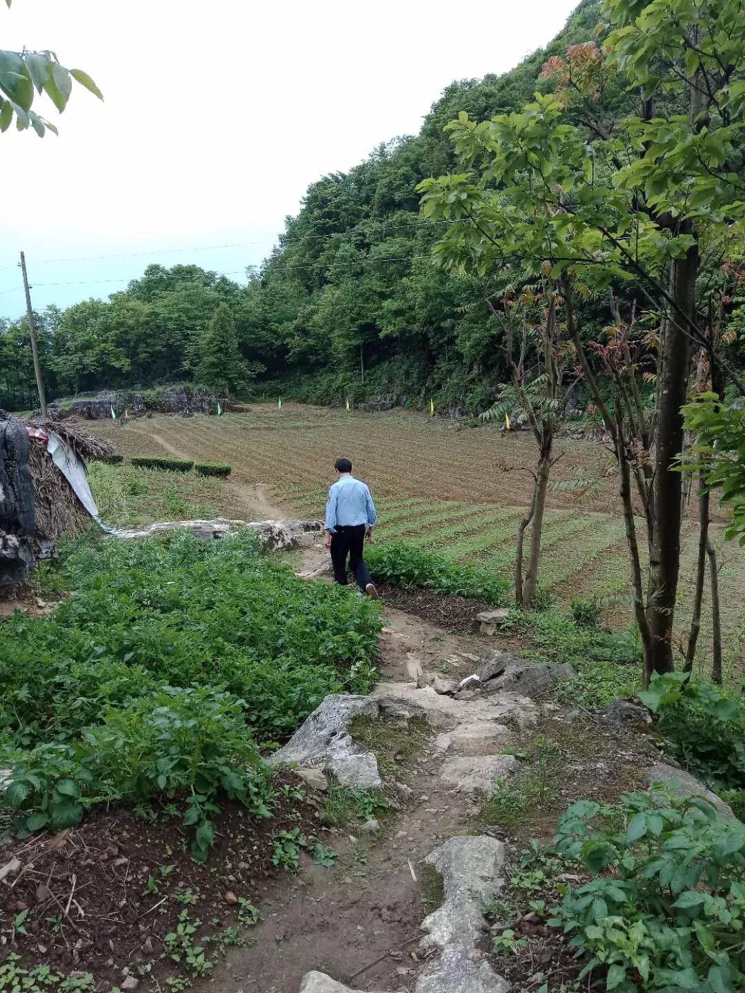 微信图片_20190527113807.jpg